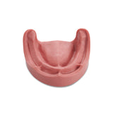 Zahnmodell <br> für Totalprothetik und Implantologie mit weicher Gingiva