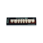 Prothesenzähne <br> SR Orthotyp S DCL <br> Seitenzahngarnitur