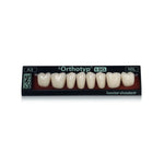 Prothesenzähne <br> SR Orthotyp S DCL <br> Seitenzahngarnitur