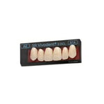 Prothesenzähne <br> SR Vivodent S DCL <br> Frontzahngarnitur