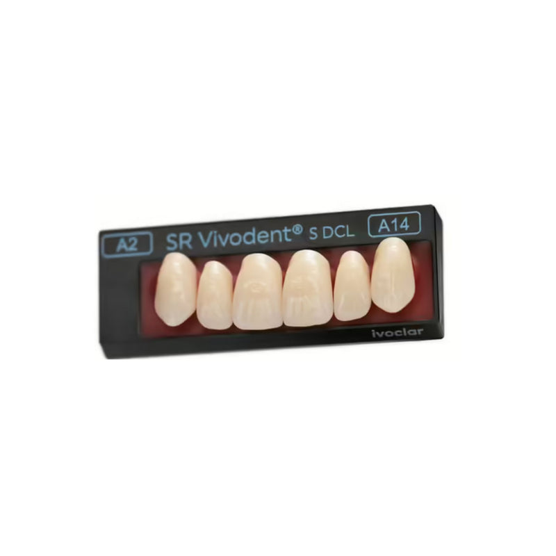 Prothesenzähne <br> SR Vivodent S DCL <br> Frontzahngarnitur
