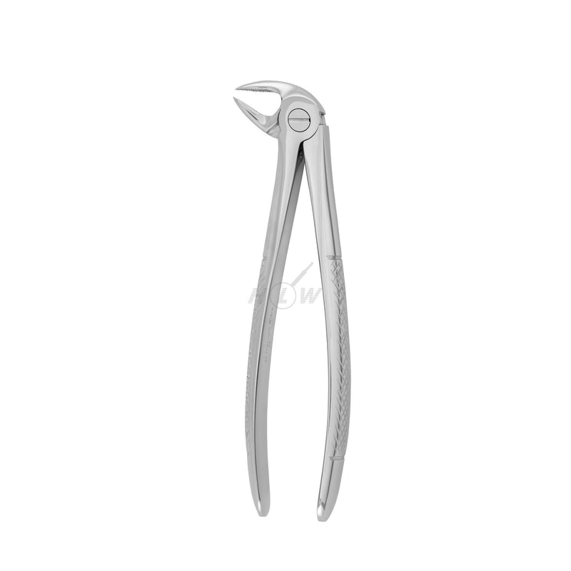 Dental forceps<br> UK