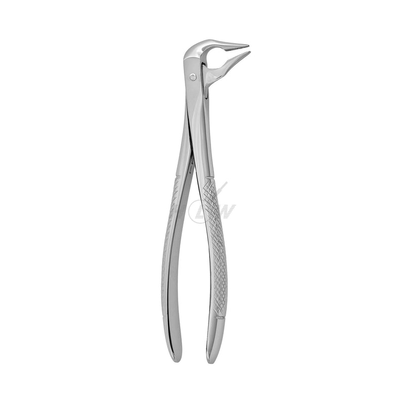 Dental forceps<br> UK