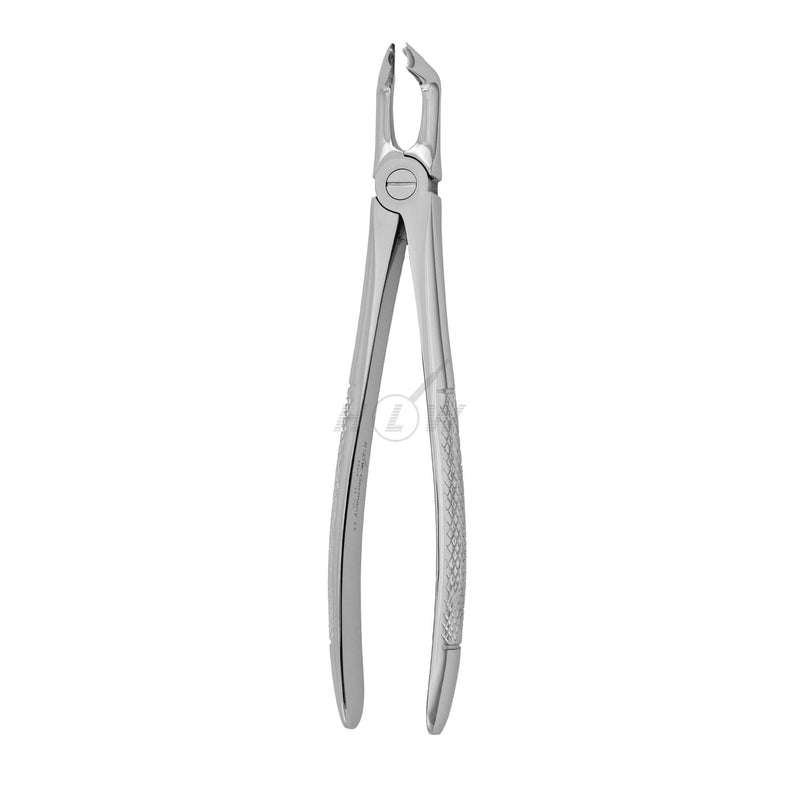Dental forceps<br> UK