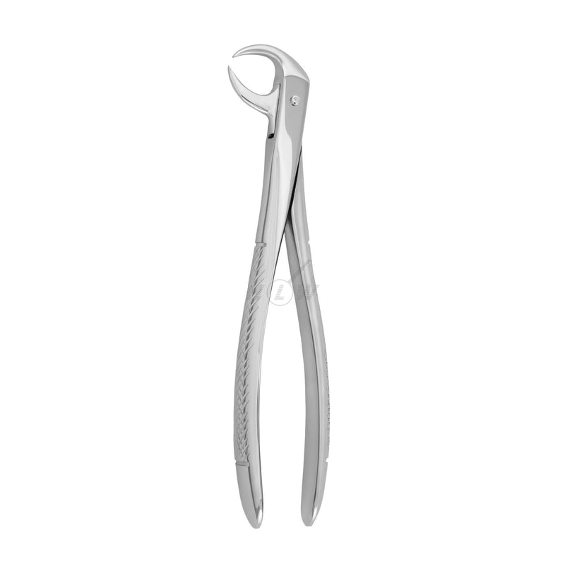 Dental forceps<br> UK