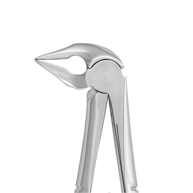 Root forceps