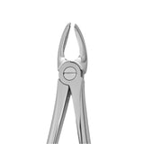 Dental forceps<br> OK