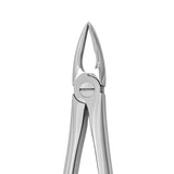 Root forceps
