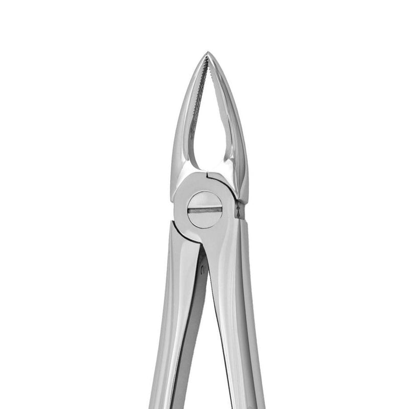 Root forceps