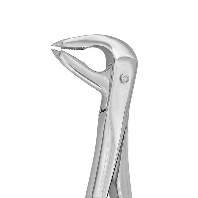 Dental forceps<br> UK