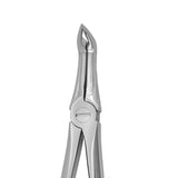 Root forceps