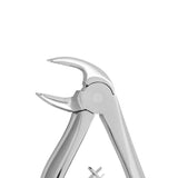 Children's dental forceps