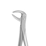 Dental forceps<br> UK