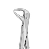 Dental forceps<br> UK