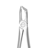 Dental forceps<br> UK