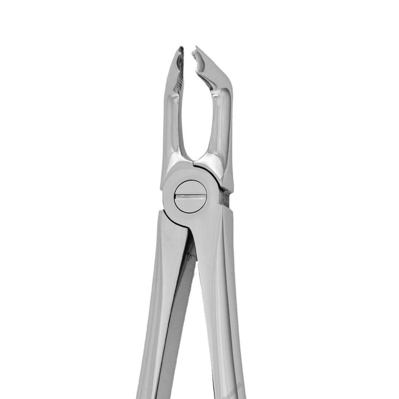 Dental forceps<br> UK