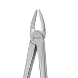 Dental forceps<br> OK