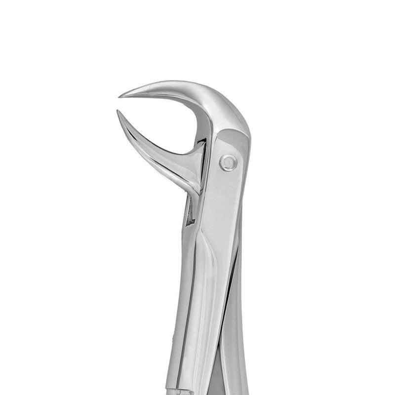 Dental forceps<br> UK