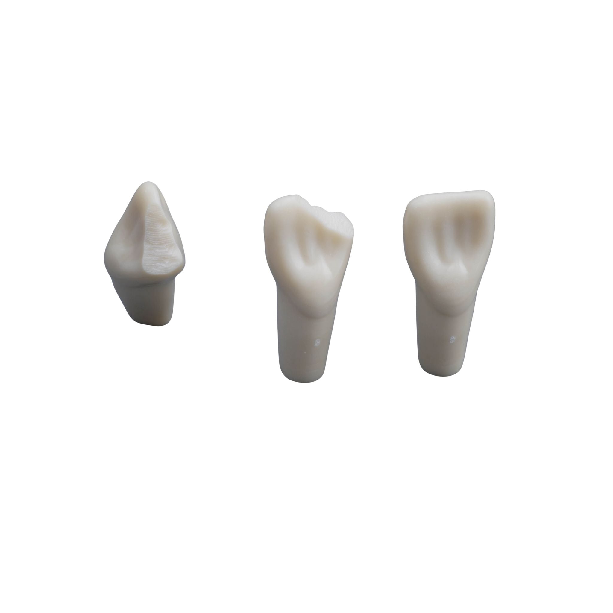 Sonderzähne <br> ZP 11 99-013