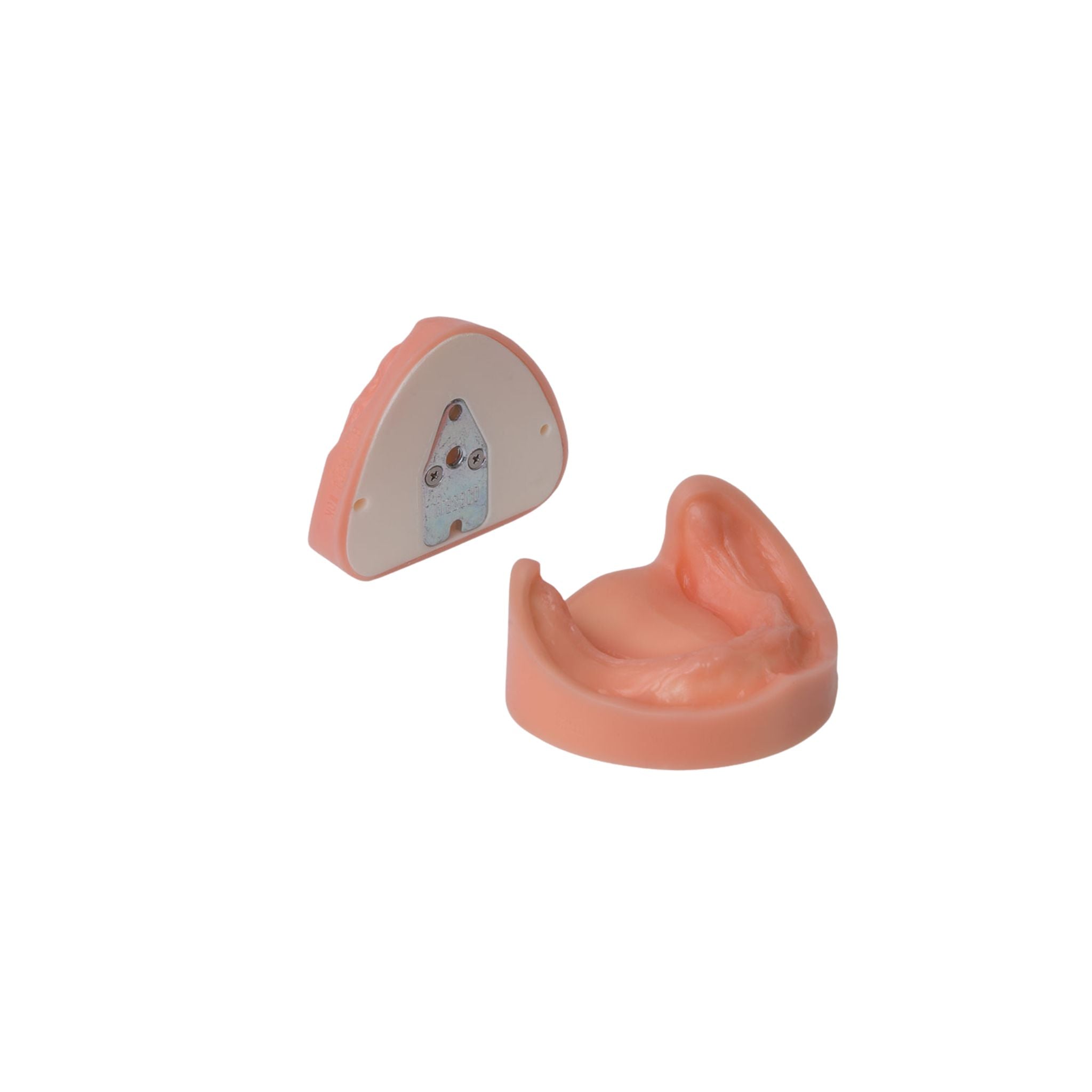 Zahnloses Modell OK und UK <br> Weiche Zahnfleischauflage