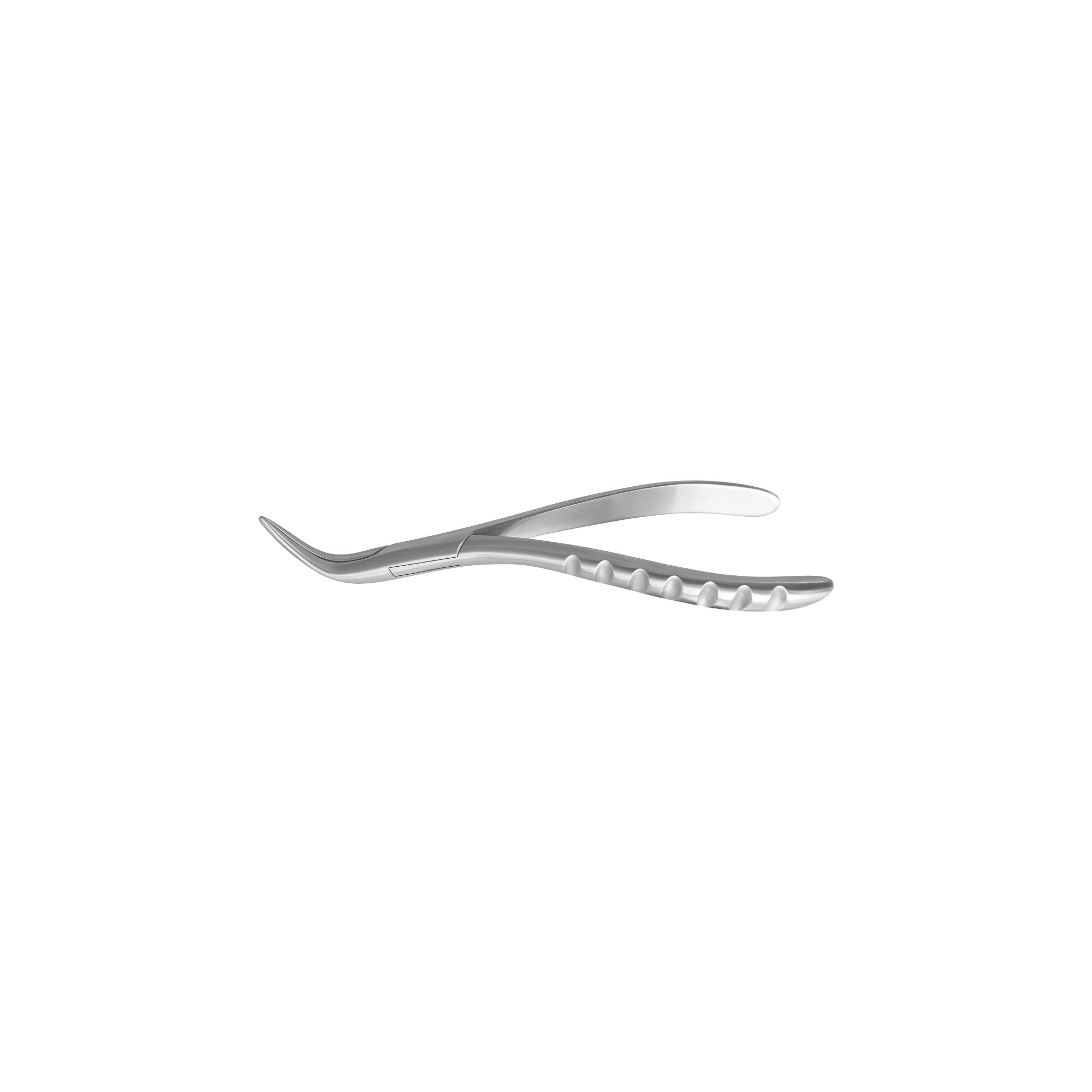 Root tip forceps<br> Witzel 45° | 17 cm | serrated