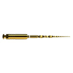 Maschinelle Feile <br> ProTaper Ultimate | SX | Länge: 19mm | 6 Stk.