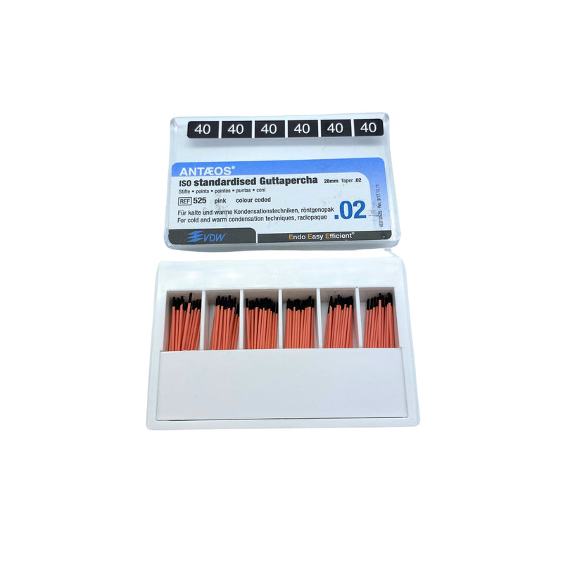 Guttaperchastift <br> Antaeos