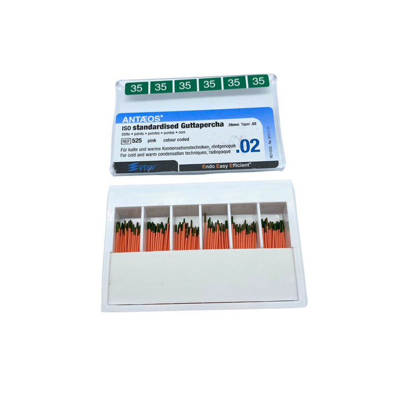 Guttaperchastift <br> Antaeos
