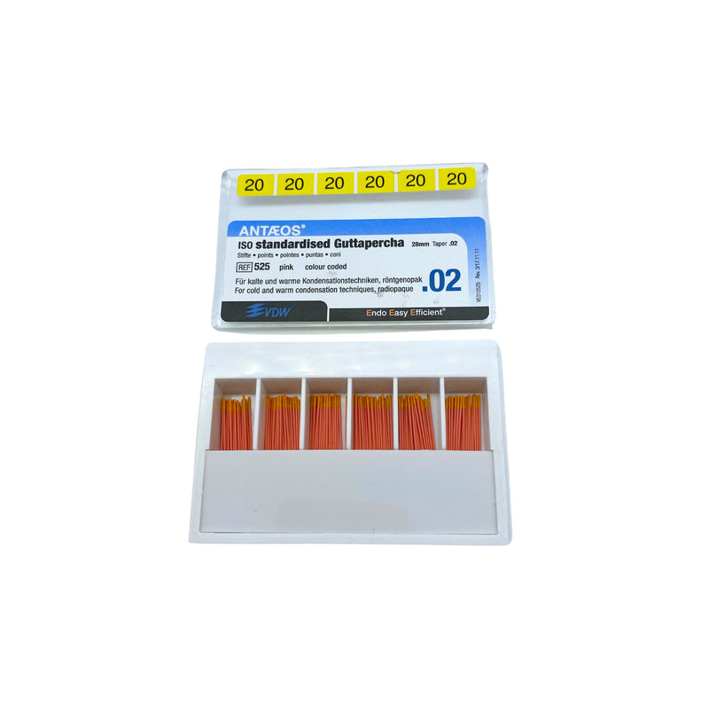 Guttaperchastift <br> Antaeos