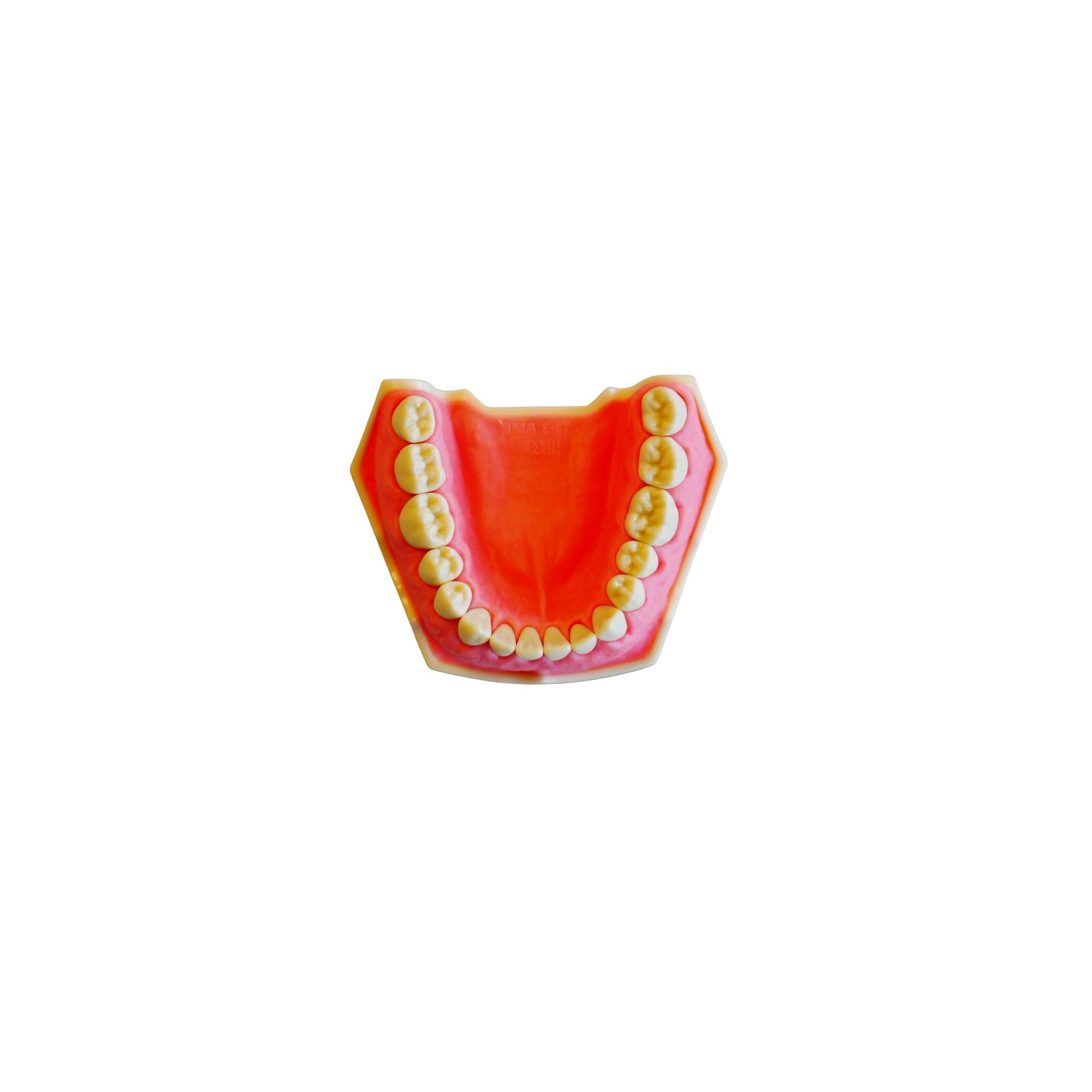 Dentalhygiene AG-3 H UK