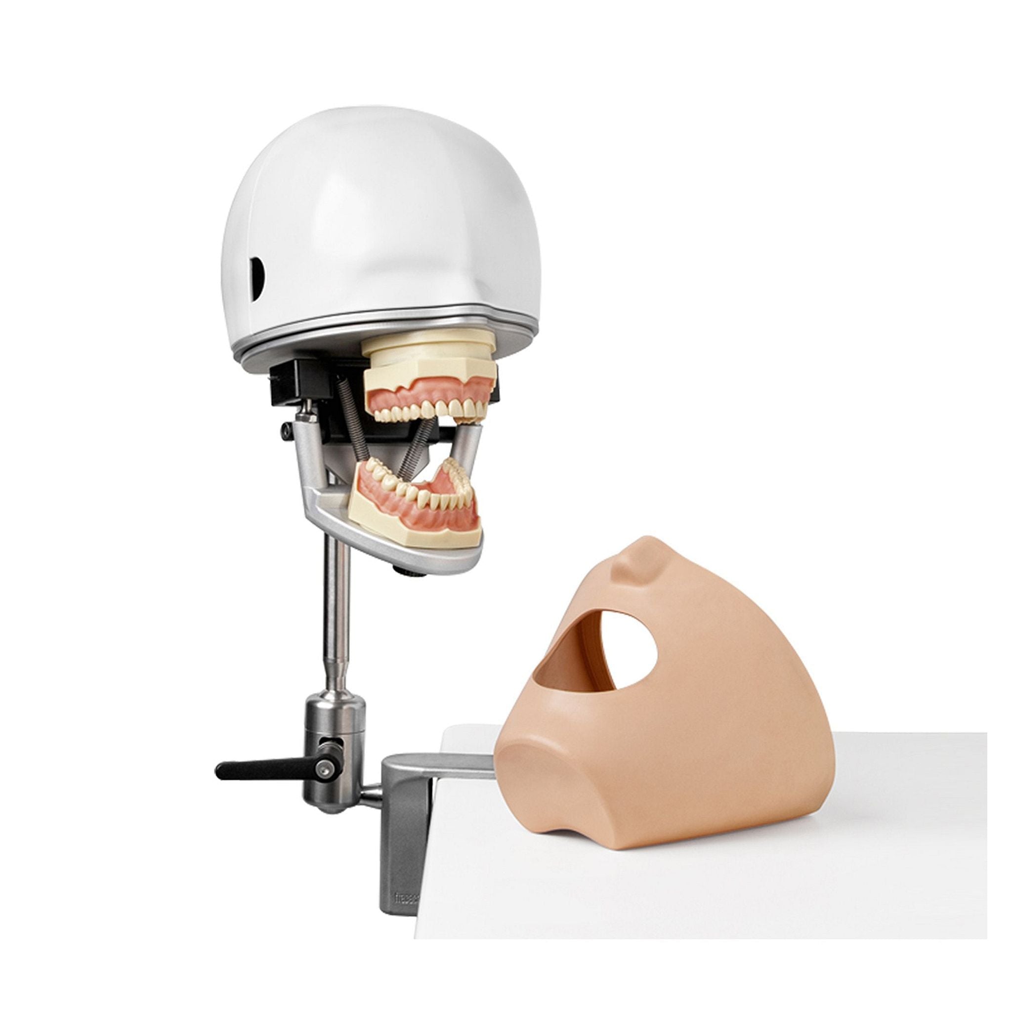Phantomkopf <br> Mieten