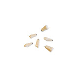 Übungszähne <br> ANKM-4 ZE