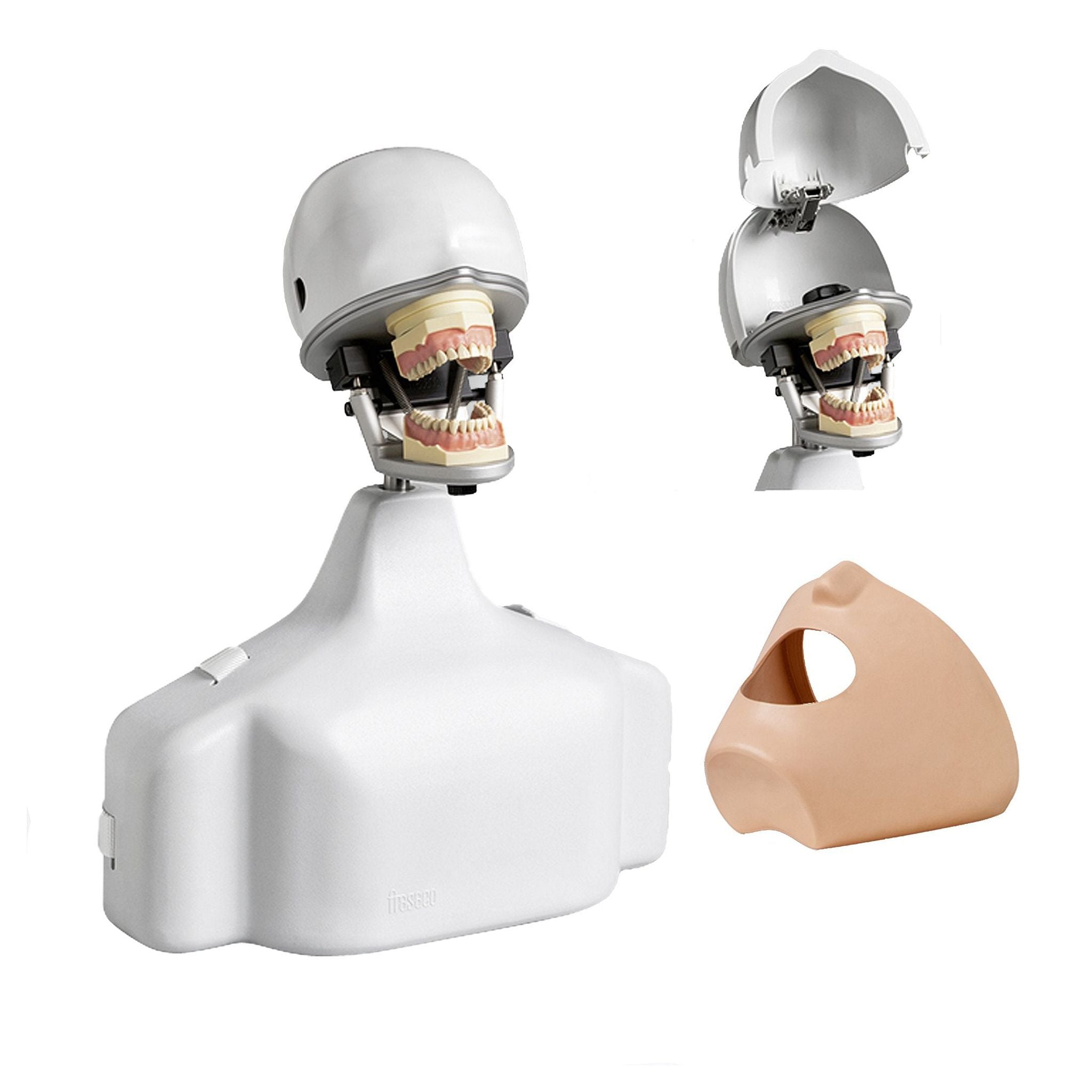 Phantomkopf <br> Mieten