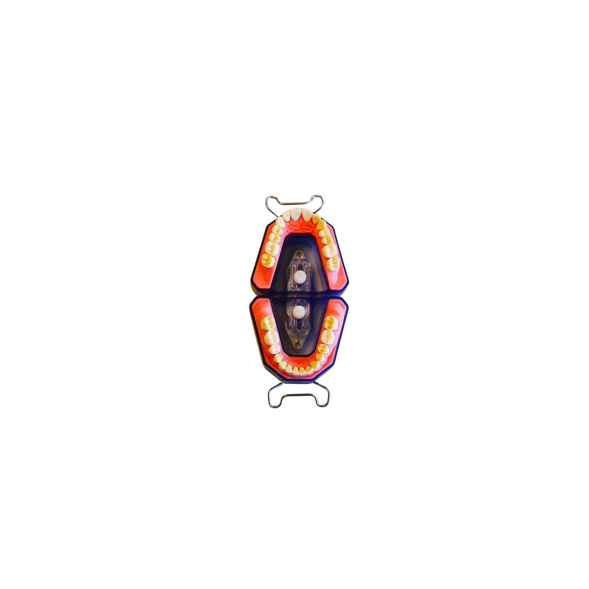 Röntgenmodell <br> A-REEM Z4RN 903