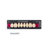 VITA Lingoform<br> 22L OK