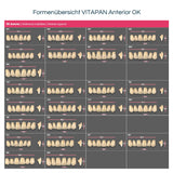 VITAPAN Anterior <br> Frontzähne (OK / UK)