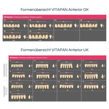 VITAPAN Anterior <br> Frontzähne (OK / UK)