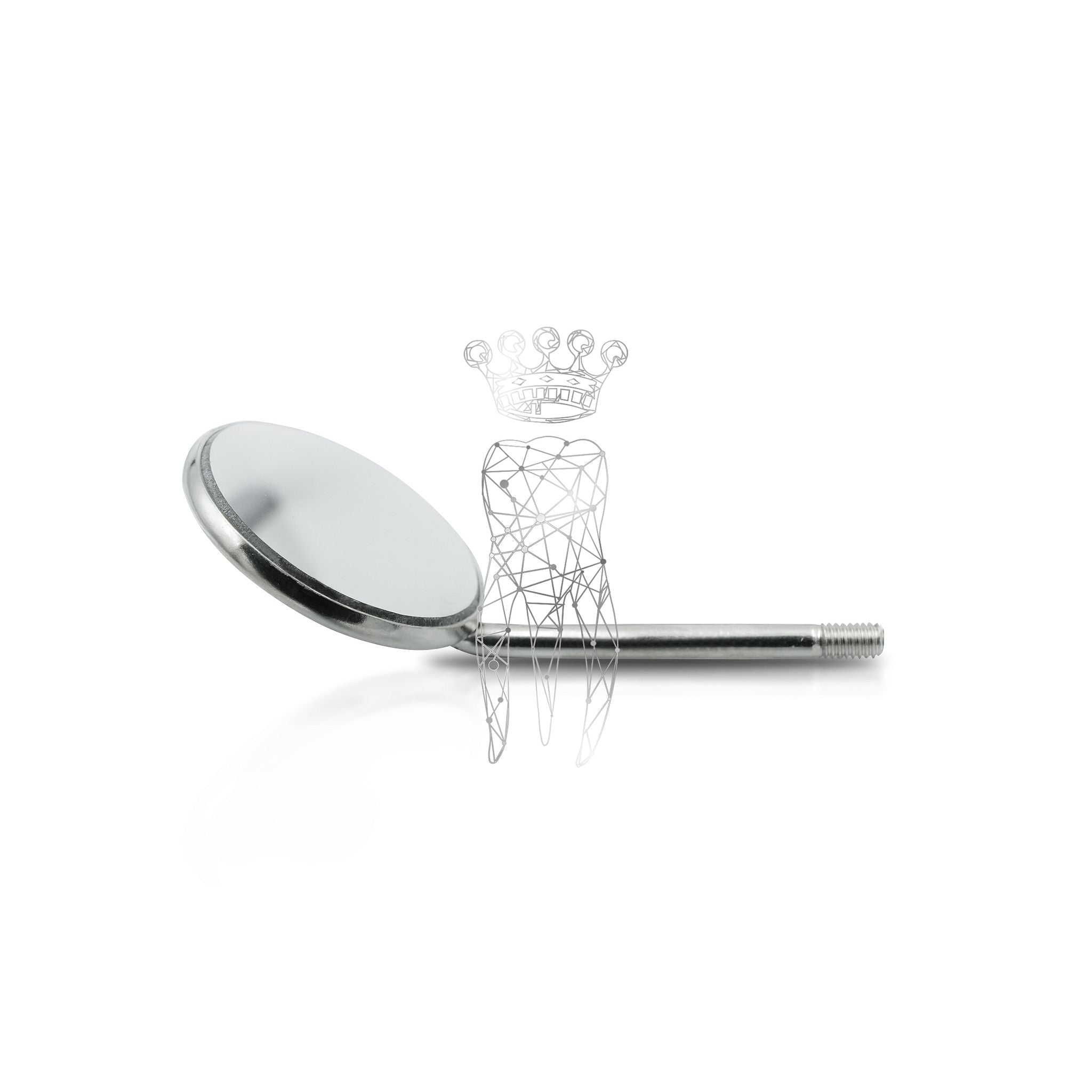 Mundspiegel <br> 22mm | 12 Stk.