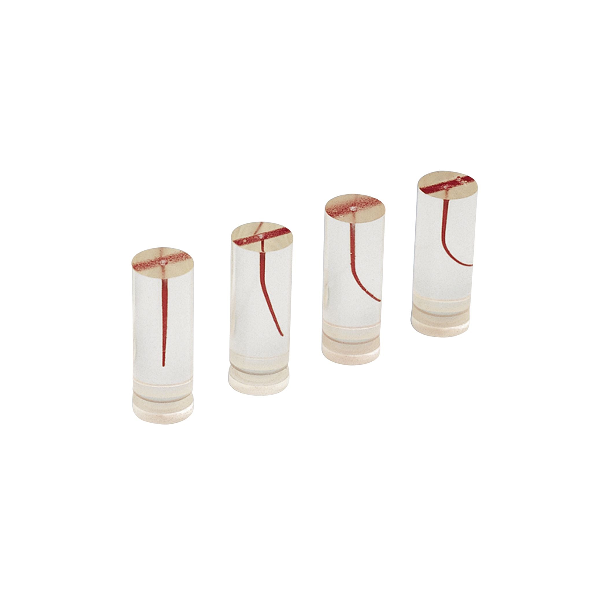Endodontie-Trainer