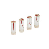 Endodontie-Trainer