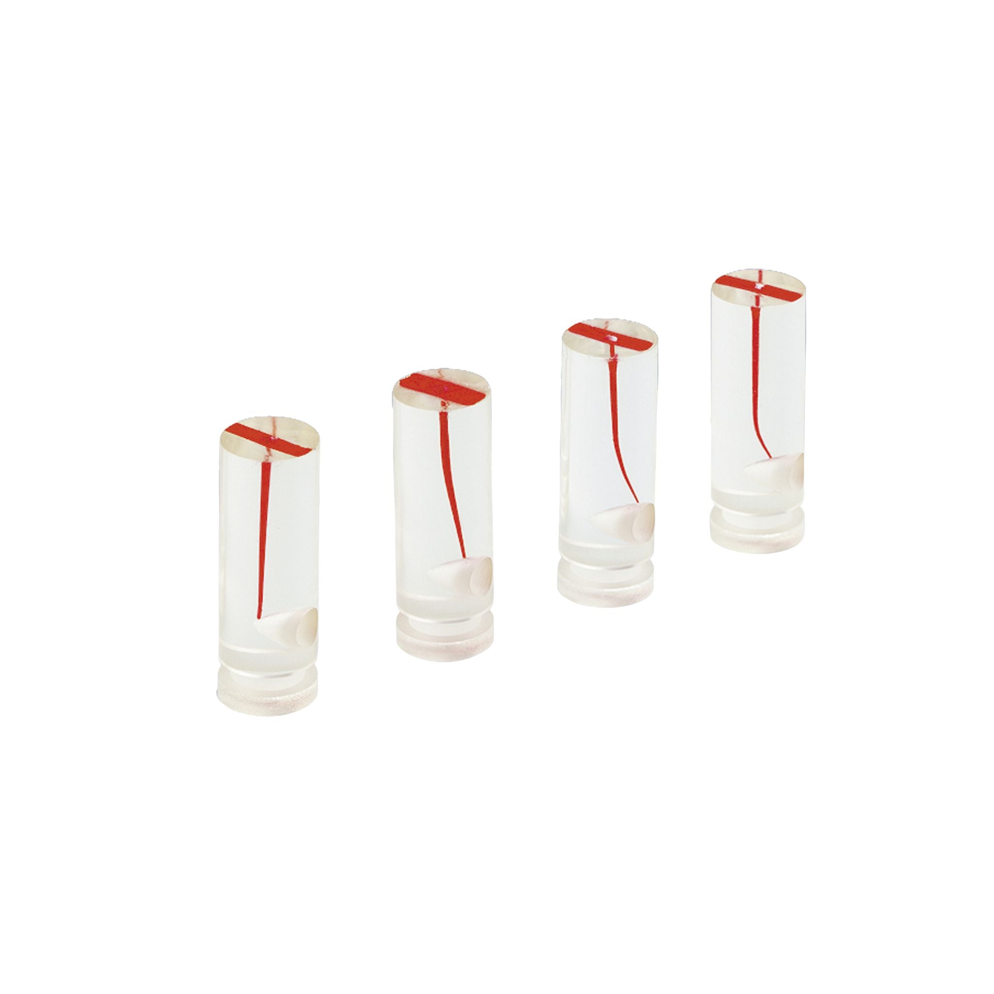 Endodontie-Trainer