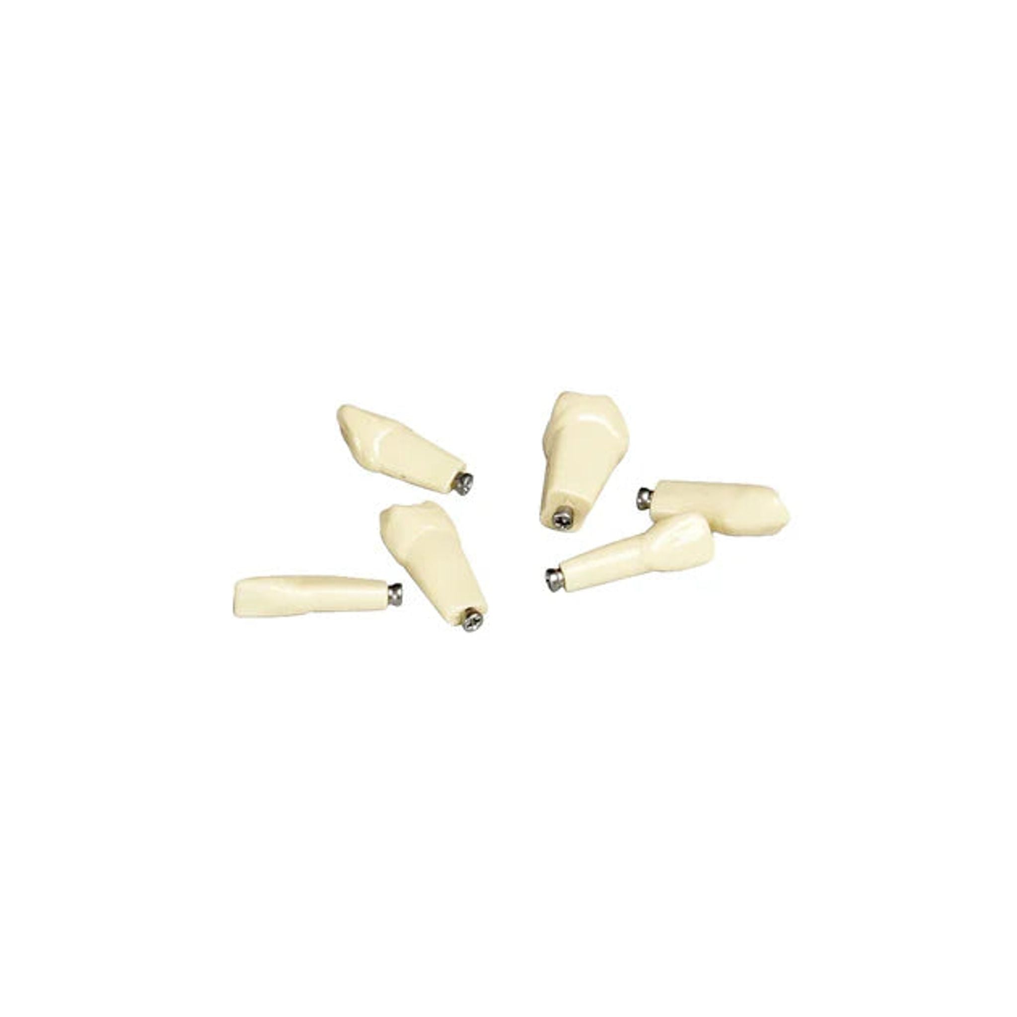 Übungszähne-Set ANA-4 <br> je 1x 34, 35, 36, 37