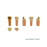 Zweischicht-Zähne mit Karies <br> ZSDK 300 V1 | Frasaco
