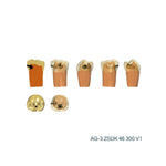 Zweischicht-Zähne mit Karies <br> ZSDK 300 V1 | Frasaco