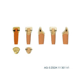 Zweischicht-Zähne mit Karies <br> ZSDK 301 V1 | Frasaco