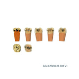 Zweischicht-Zähne mit Karies <br> ZSDK 301 V1 | Frasaco