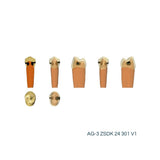 Zweischicht-Zähne mit Karies <br> ZSDK 301 V1 | Frasaco