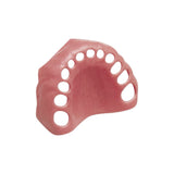 Gingivamaske <br> Für frasaco