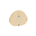 Magnetic recording plates<br> With 4 pins