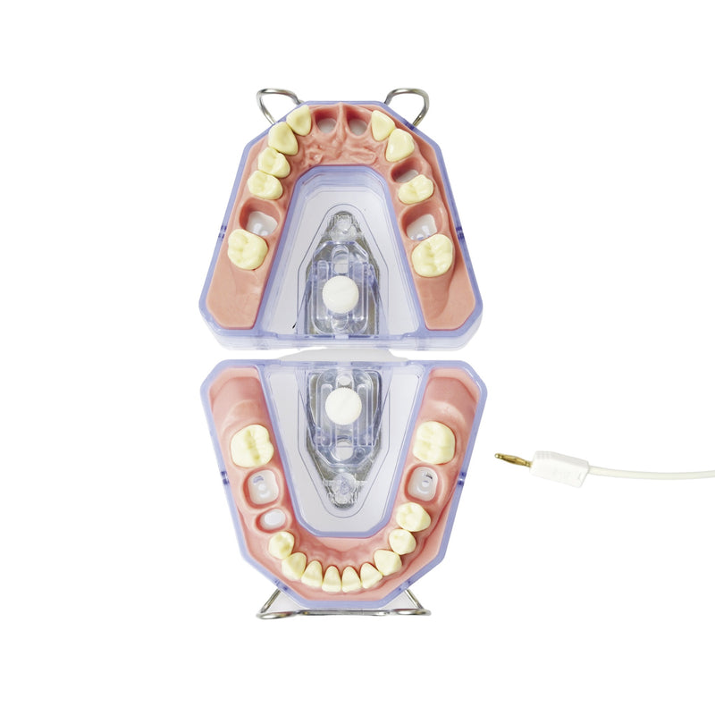 X-ray and endometry model<br> A-REE UK/OK 903